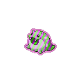 Exotic Spheal